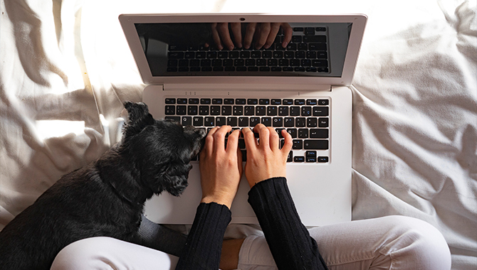 Frau mit Hund am Laptop